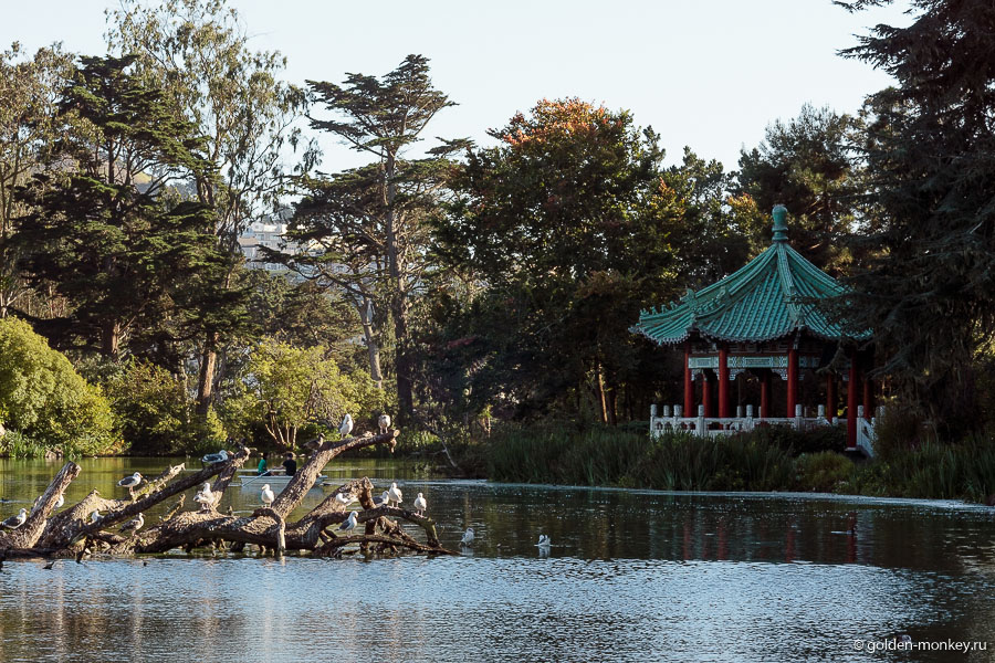 Одно из озер парка Золотые Ворота. Беседка есть, птицы на насесте в наличии, солнышко светит – что еще нужно? Одно из озер парка Золотые Ворота. Беседка есть, птицы на насесте в наличии, солнышко светит – что еще нужно?