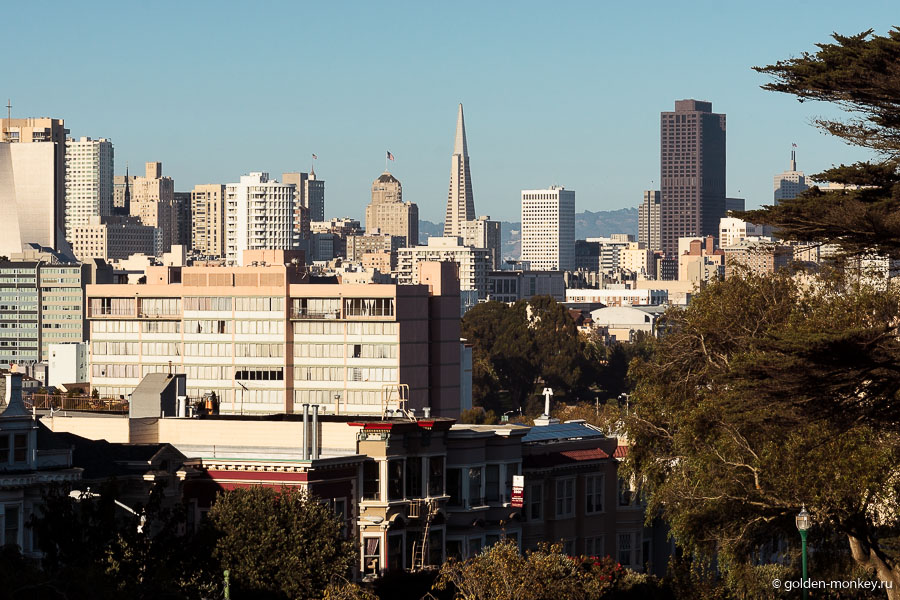 Узнаете? Вдали виднеется Пирамида Трансамерика, про которую я писала в первой статье. Узнаете? Вдали виднеется Пирамида Трансамерика, про которую я писала в первой статье.