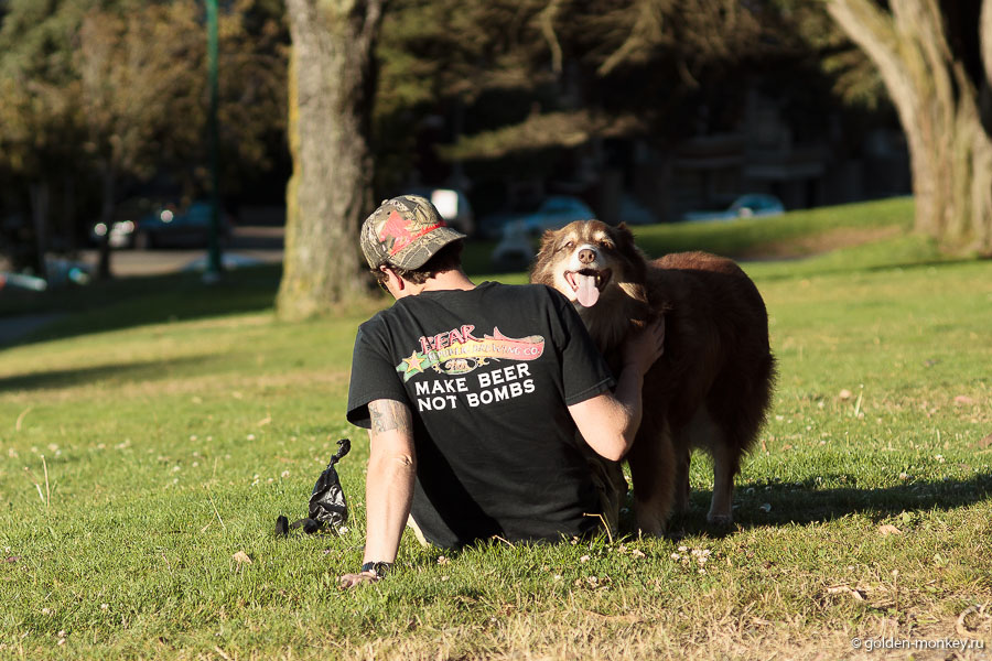 Кажется, этот скверик очень даже популярен среди местных: здесь не только выгуливают собак, пьют пиво и читают книги, но даже проводят праздничные фотосессии. Кажется, этот скверик очень даже популярен среди местных: здесь не только выгуливают собак, пьют пиво и читают книги, но даже проводят праздничные фотосессии.