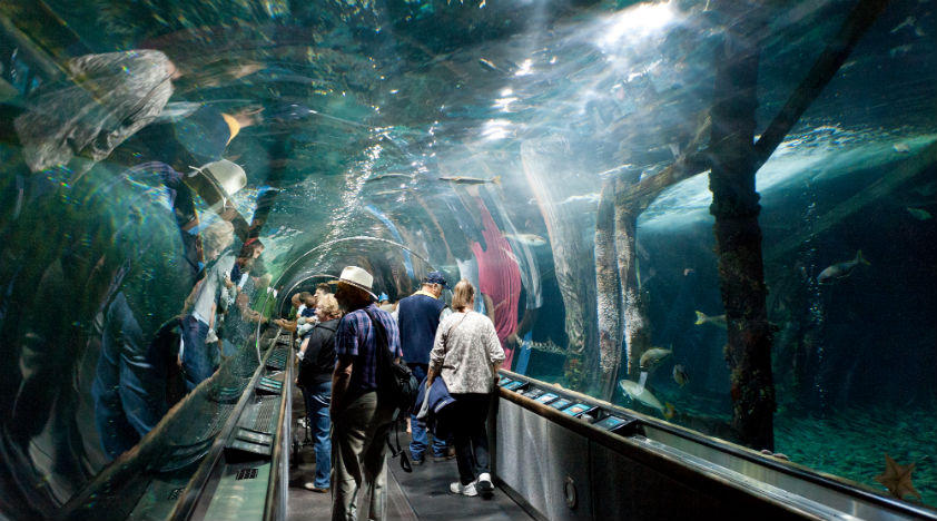 Вид изнутри (фото с сайта www.peek.com) Вид изнутри (фото с сайта www.peek.com)