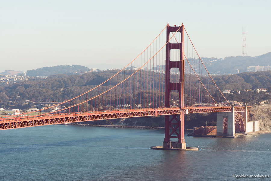 Уж не знаю, лучший ли это вид, но точно неплохой. Уж не знаю, лучший ли это вид, но точно неплохой.