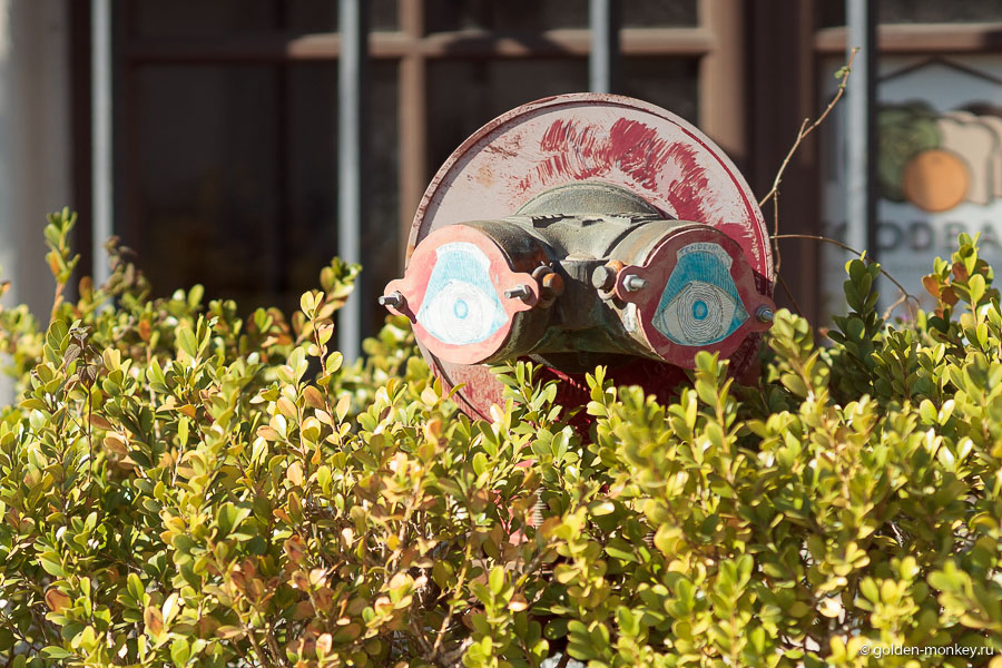 Иногда встречаются совершенно неожиданные вещи )) Иногда встречаются совершенно неожиданные вещи ))