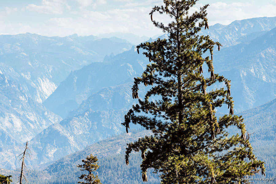 В очередной раз задумались о том, насколько же национальные парки США отличаются друг от друга. Взять хотя бы парк Арок, Глен-Каньон и Секвойю с Кингз-Каньоном – это же небо и земля. Парки не перестают удивлять многообразием форм, цветов и фактур. В очередной раз задумались о том, насколько же национальные парки США отличаются друг от друга. Взять хотя бы парк Арок, Глен-Каньон и Секвойю с Кингз-Каньоном – это же небо и земля. Парки не перестают удивлять многообразием форм, цветов и фактур.