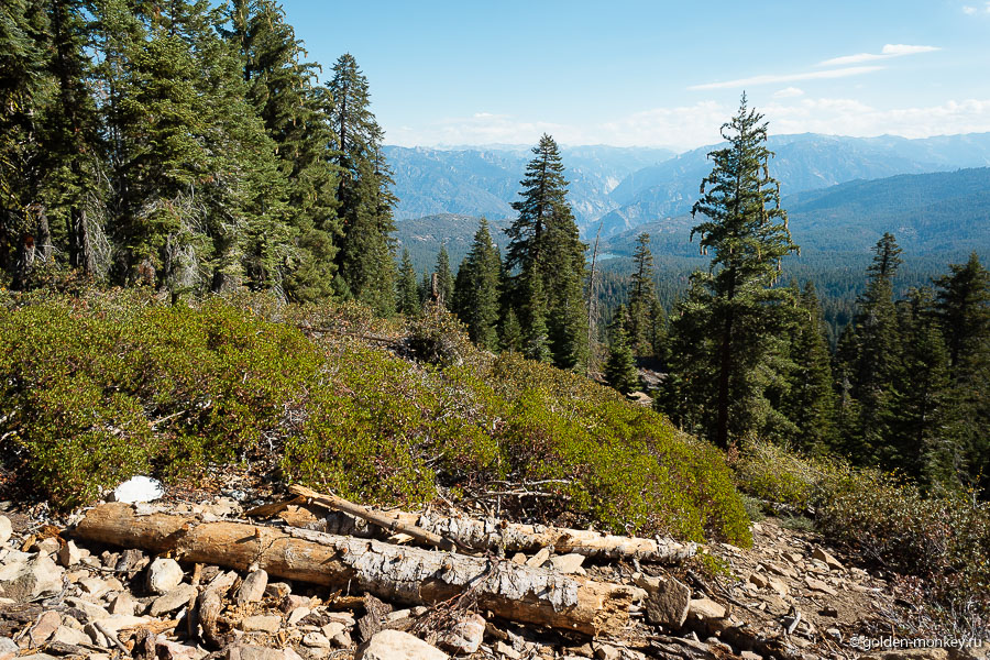 Вид с Panoramic Point на окружающие горы Сьерра-Невада. Вдали виднеется озеро Юм (Hume Lake). Вид с Panoramic Point на окружающие горы Сьерра-Невада. Вдали виднеется озеро Юм (Hume Lake).