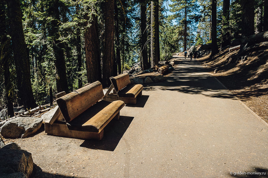 Оригинальные скамейки вдоль трейла. Оригинальные скамейки вдоль трейла.