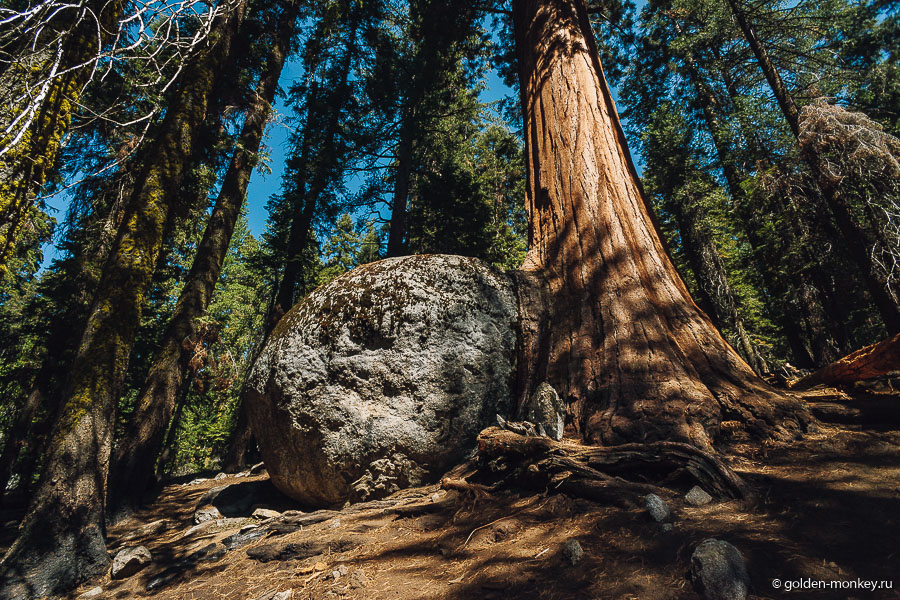 Вот такой тандем )) Вот такой тандем ))