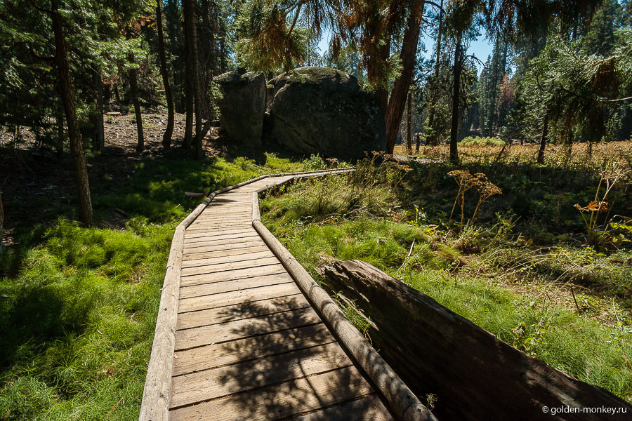 Гулять по такой мощеной тропинке, конечно, удобно, но из-за этого теряется ощущение таинственности, которое обычно бывает посреди леса. Гулять по такой мощеной тропинке, конечно, удобно, но из-за этого теряется ощущение таинственности, которое обычно бывает посреди леса.