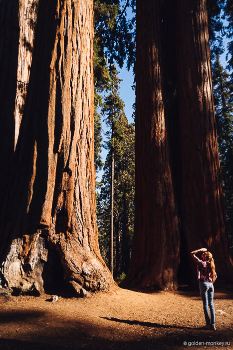 Вот уж где точно чувствуешь себя лилипутом в стране великанов )) Вот уж где точно чувствуешь себя лилипутом в стране великанов ))