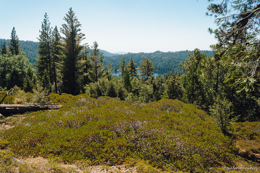 Вдали виднеется озеро Секвойя (Sequoia Lake). Мы рассчитывали до него добраться, но так и не смогли. Как оказалось, оно расположено на частной территории (YMCA) и не является частью парка, о чем гласили повстречавшиеся таблички. К озеру можно и разрешено спуститься, но только не через территорию расположенного там лагеря, а как именно, мы так и не поняли. Если все-таки доберетесь до Секвойя-Лэйк, имейте ввиду, что купаться и ловить рыбу в нем запрещено. Вдали виднеется озеро Секвойя (Sequoia Lake). Мы рассчитывали до него добраться, но так и не смогли. Как оказалось, оно расположено на частной территории (YMCA) и не является частью парка, о чем гласили повстречавшиеся таблички. К озеру можно и разрешено спуститься, но только не через территорию расположенного там лагеря, а как именно, мы так и не поняли. Если все-таки доберетесь до Секвойя-Лэйк, имейте ввиду, что купаться и ловить рыбу в нем запрещено.