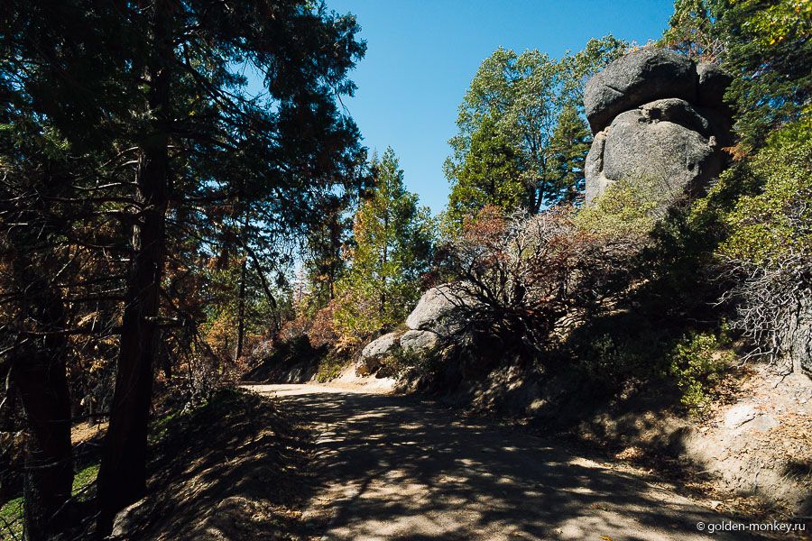 Кажется, безлюдные тропинки – визитная карточка трейлов района Grant Grove. Тем лучше, чувствуешь себя ближе к природе. Кажется, безлюдные тропинки – визитная карточка трейлов района Grant Grove. Тем лучше, чувствуешь себя ближе к природе.
