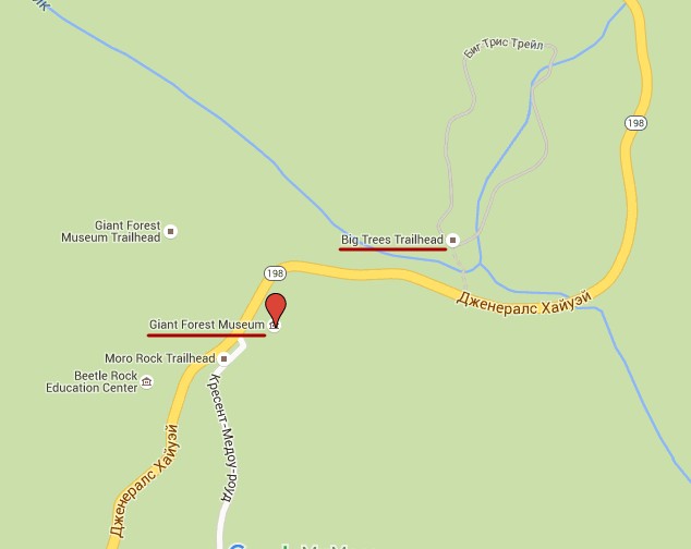Big Trees Trail на карте, Калифорния, США, парк Секврйя. Big Trees Trail на карте, Калифорния, США, парк Секврйя.