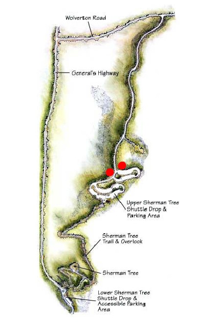 Подходы к General Sherman Tree. Подходы к General Sherman Tree.