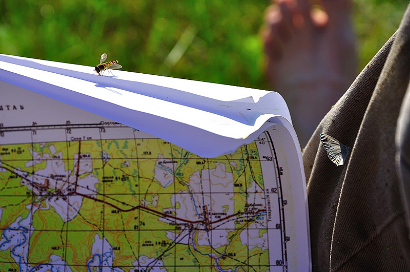 все, что нужно для похода все, что нужно для похода