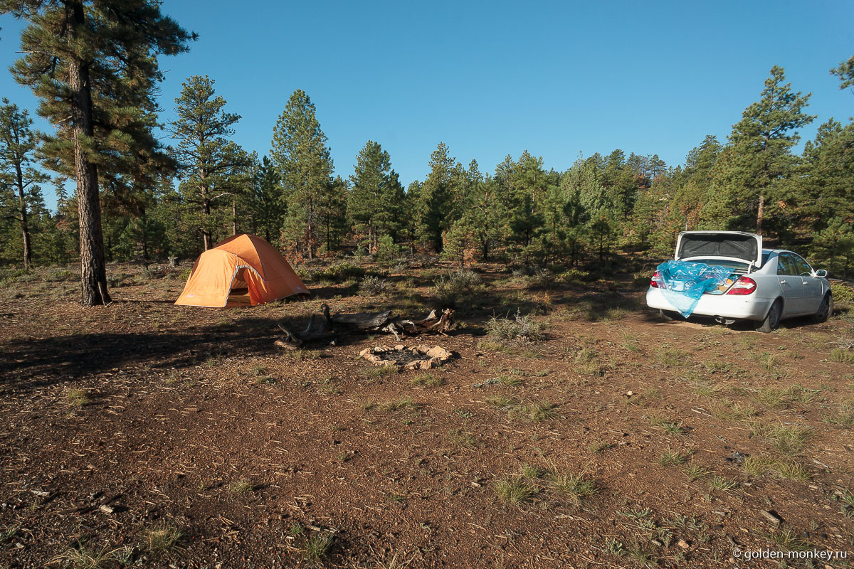 Dixie NF рядом с Брайс-Каньоном Dixie NF рядом с Брайс-Каньоном