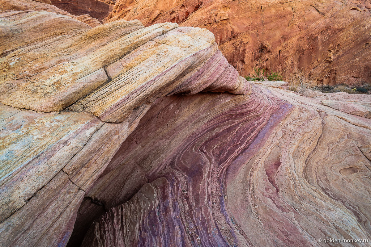 Лиловые волны Лиловые волны