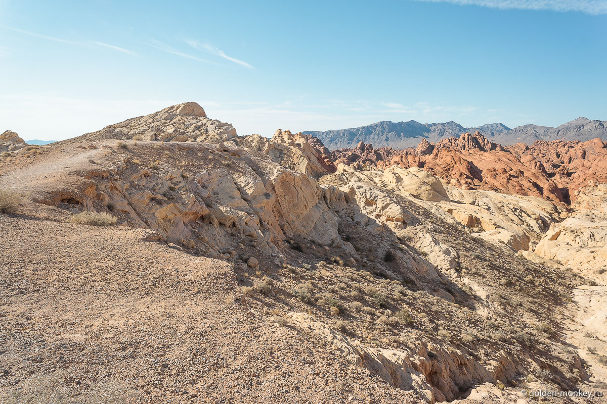 Силика-Дом – «Кремнеземный купол» Силика-Дом – «Кремнеземный купол»