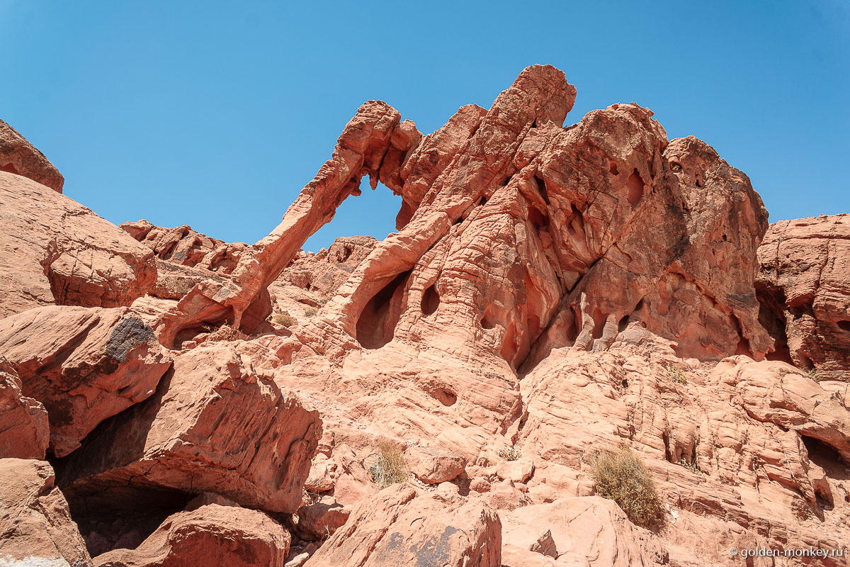 Знаменитый огненный Слон – любимец туристов )) Знаменитый огненный Слон – любимец туристов ))