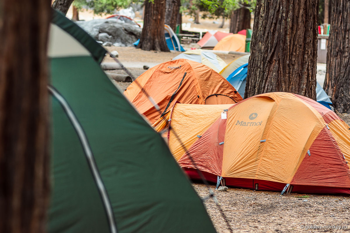Ковер из палаток Ковер из палаток