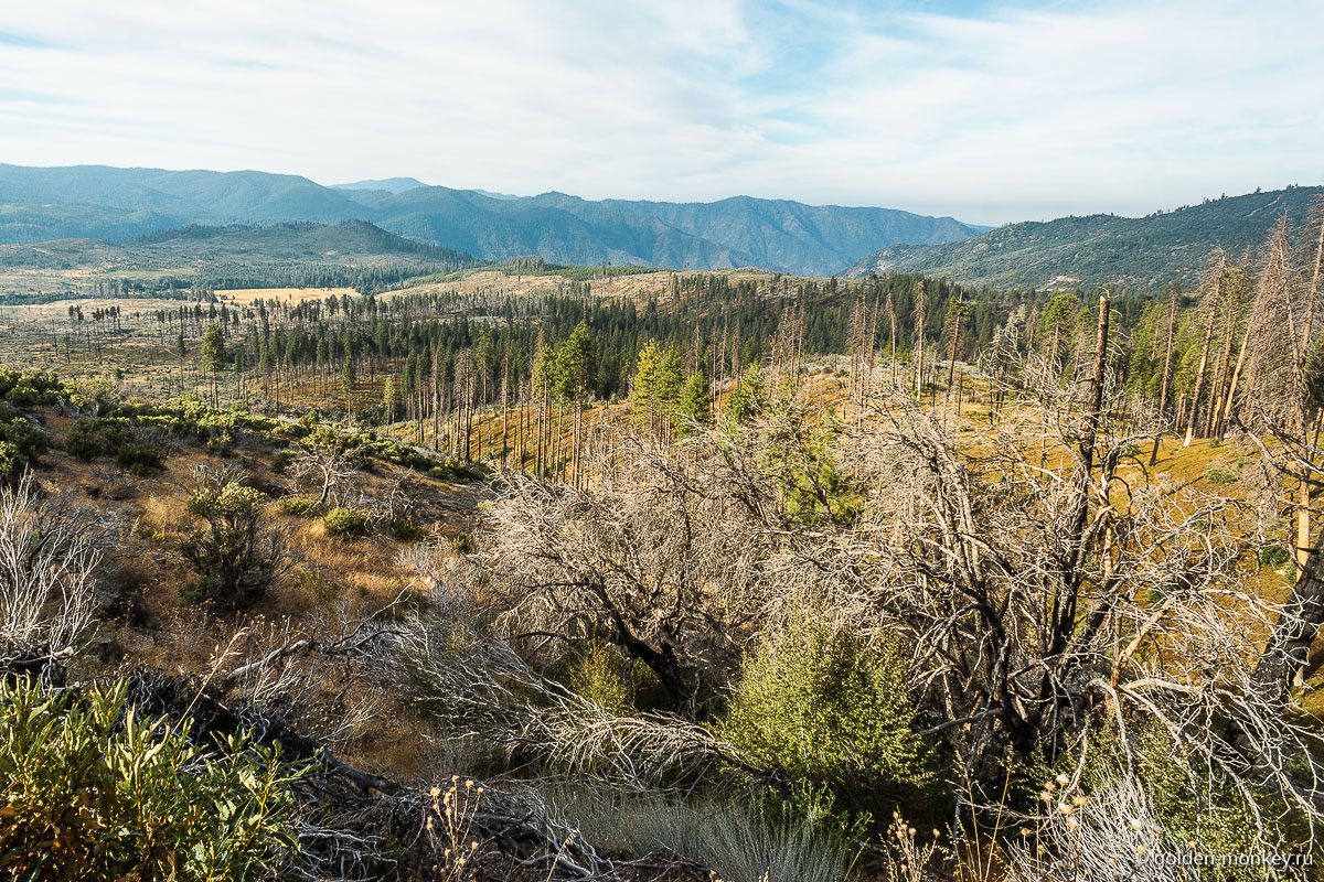 Биг-Ок-Флэт-Роуд (Big Oak Flat Road) Биг-Ок-Флэт-Роуд (Big Oak Flat Road)