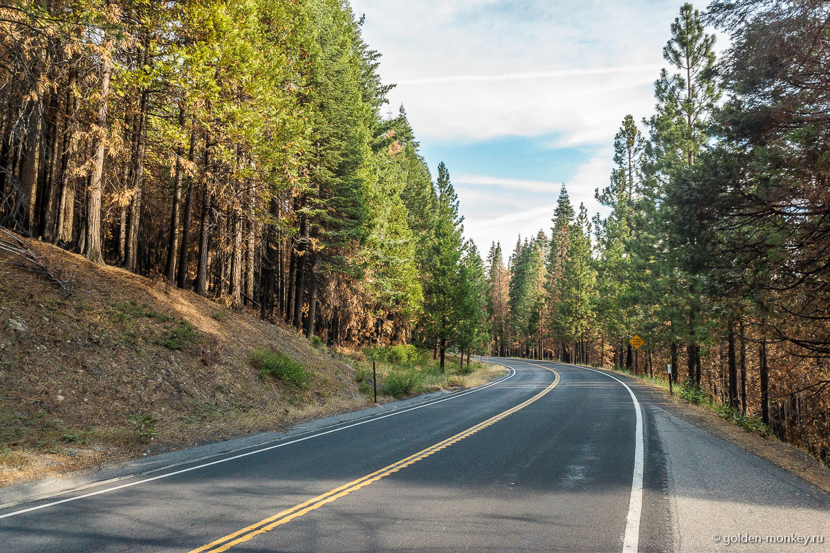 Вечнозеленая дорога (Evergreen Road), ведущая к водохранилищу Хетч-Хетчи Вечнозеленая дорога (Evergreen Road), ведущая к водохранилищу Хетч-Хетчи