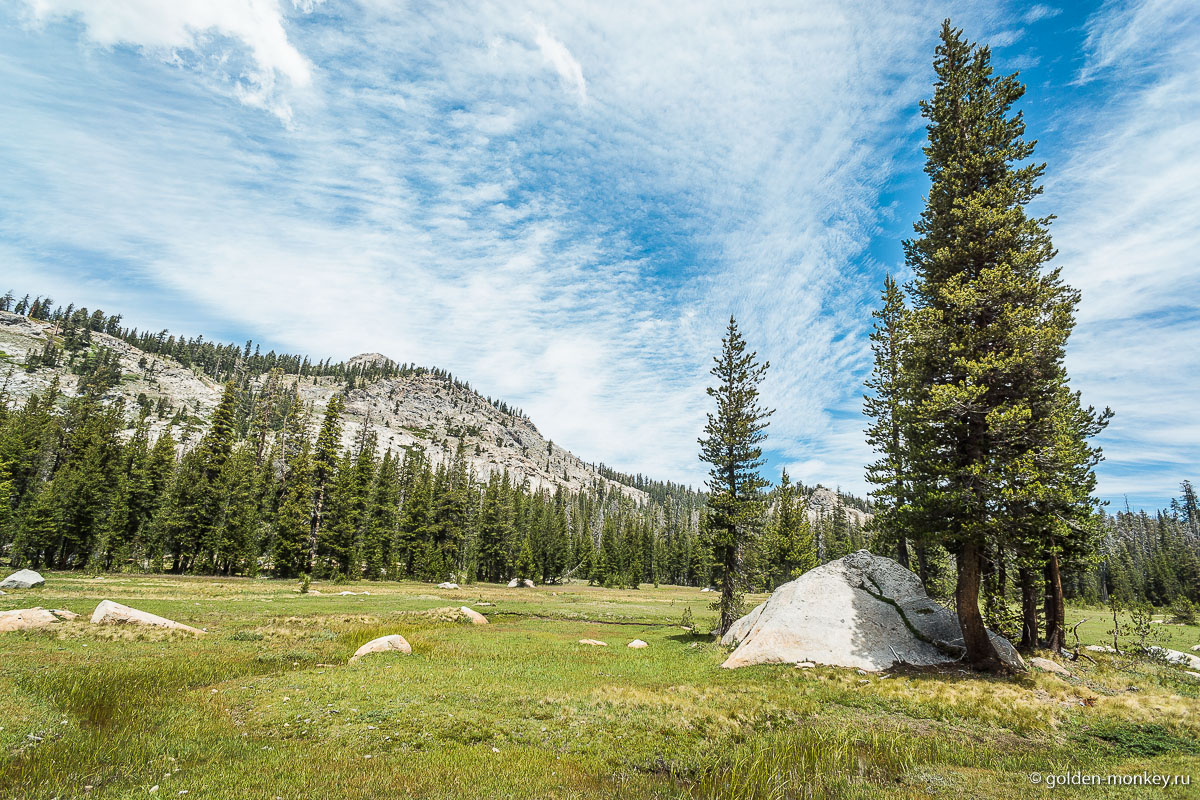 Неведомый красивый луг, коих в Йосемити великое множество Неведомый красивый луг, коих в Йосемити великое множество