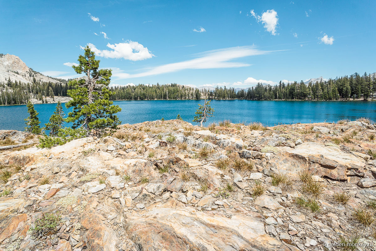 Горы, леса и озеро – мечта, да и только! Горы, леса и озеро – мечта, да и только!