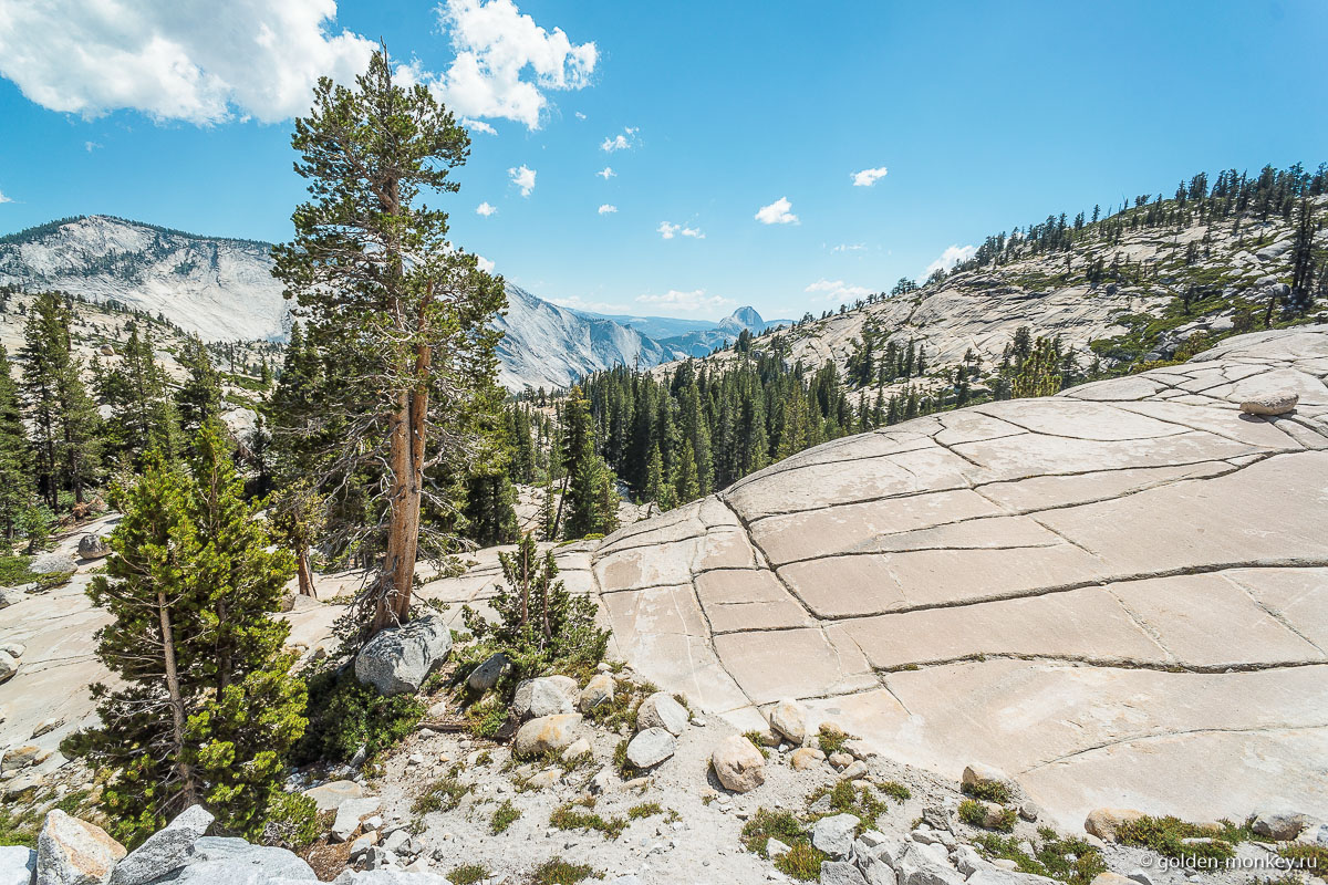 Олмстед-Поинт у Тайога-Роуд Олмстед-Поинт у Тайога-Роуд