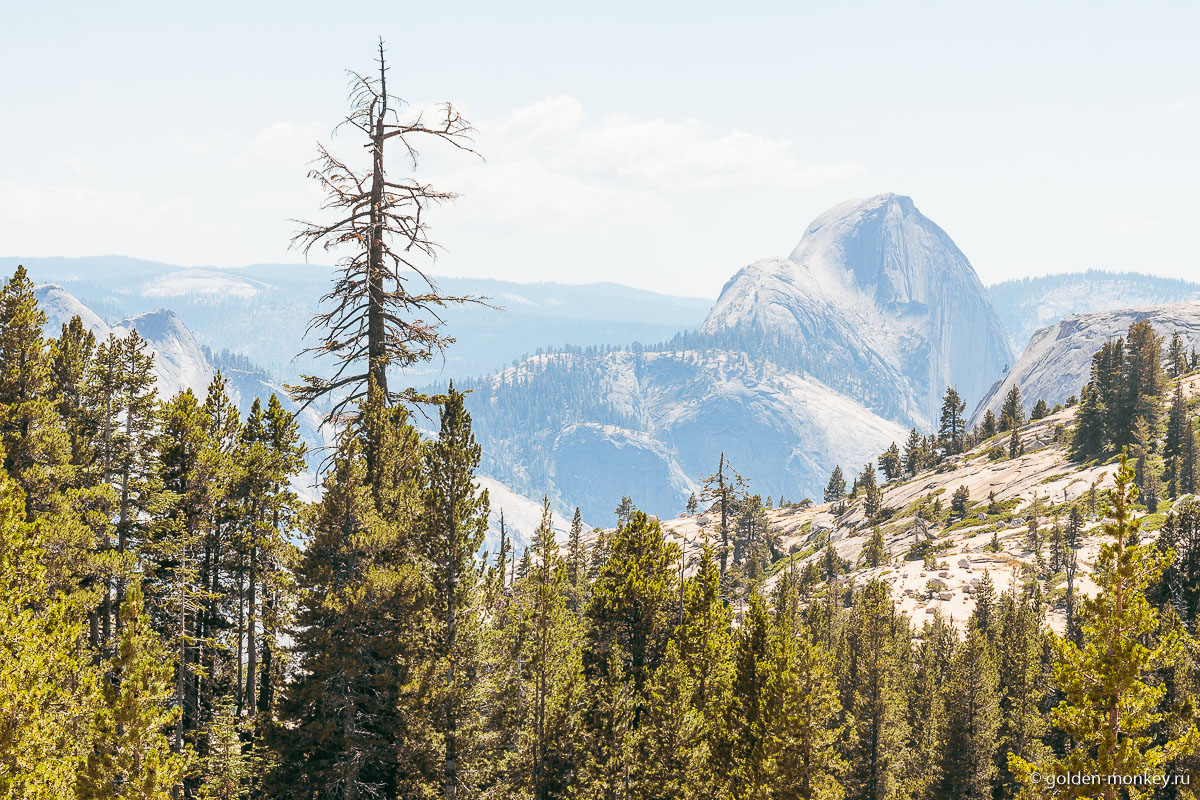 Еще один ракурс скалы Полукупол. Теперь-то уж точно мы увидели его со всех сторон )) Еще один ракурс скалы Полукупол. Теперь-то уж точно мы увидели его со всех сторон ))