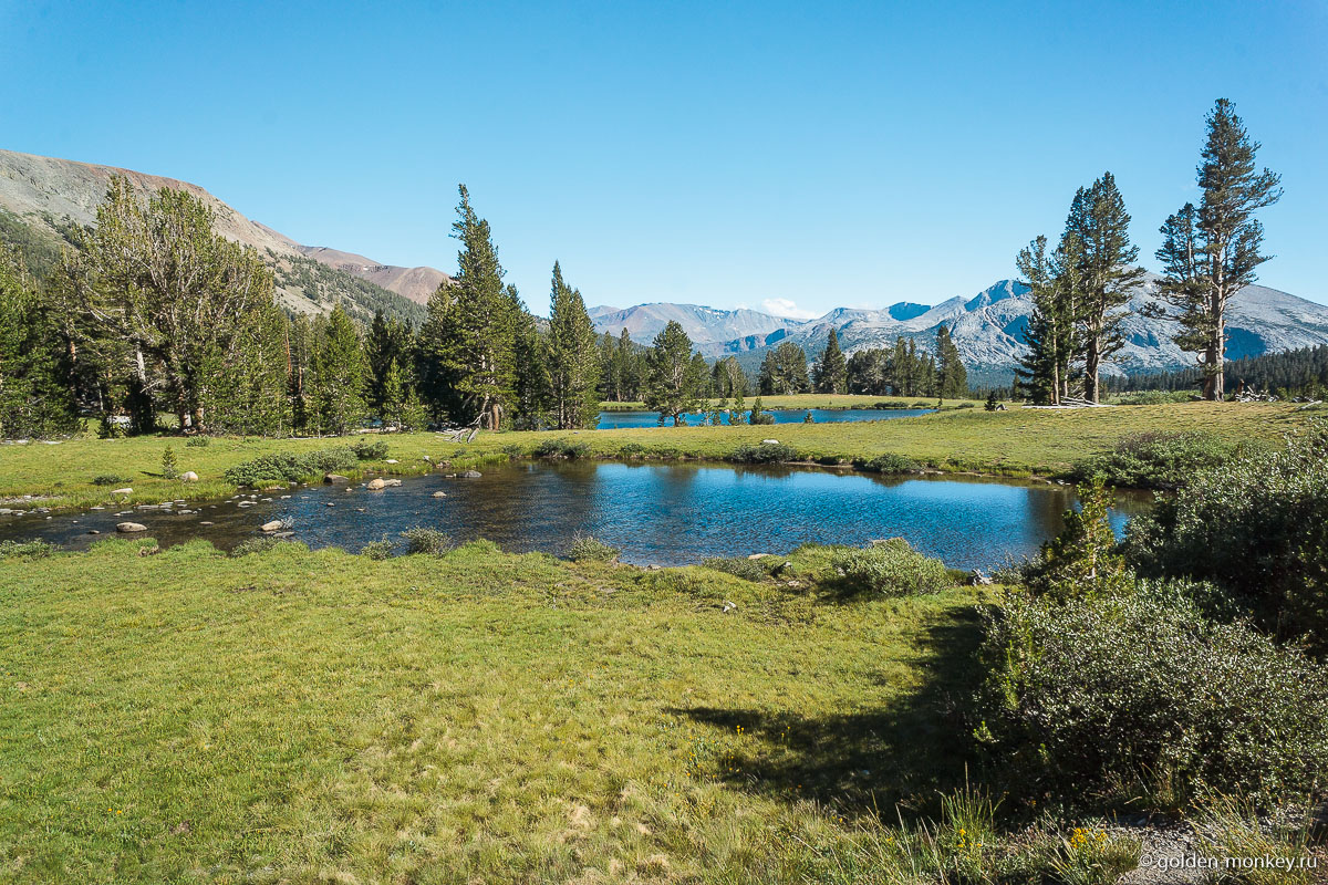 Самое красивое сочетание цветов на Туоломнских лугах Самое красивое сочетание цветов на Туоломнских лугах