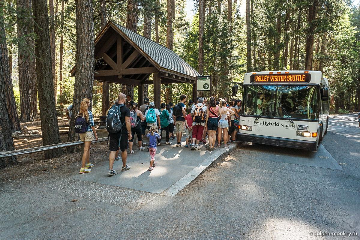 Бесплатный автобус, курсирующий по Долине Йосемити
