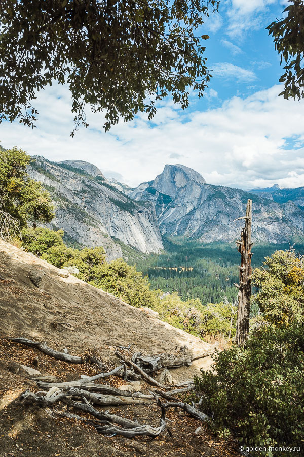 Один из многочисленных живописных пейзажей Йосемити