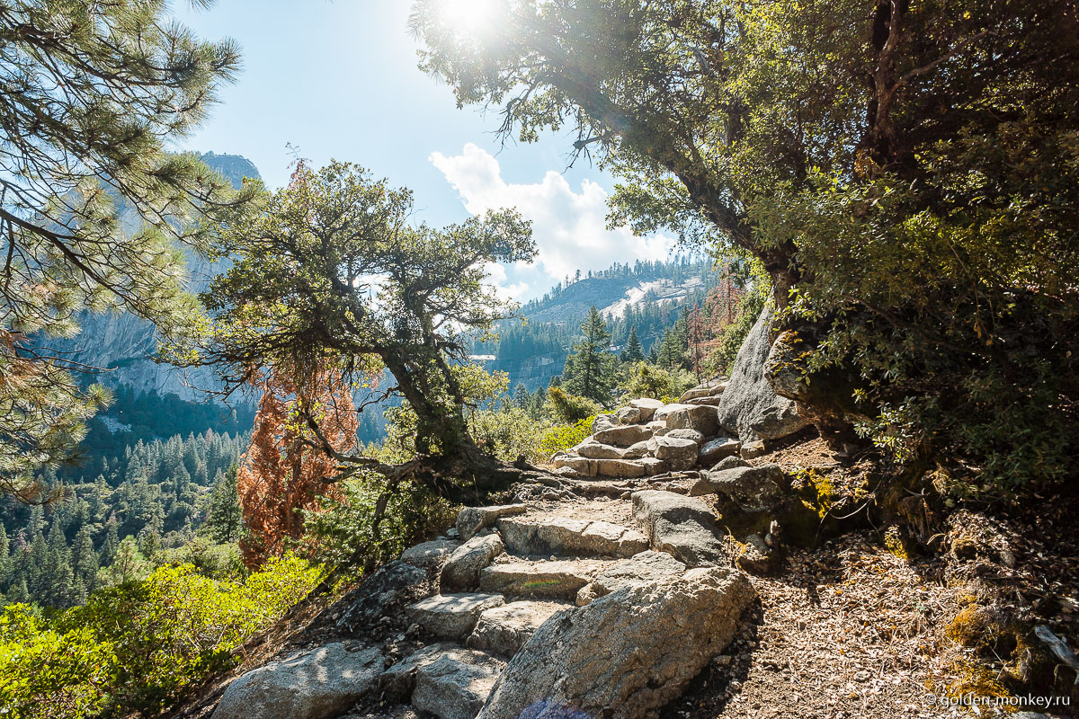 Выложенная камнями тропинка Выложенная камнями тропинка
