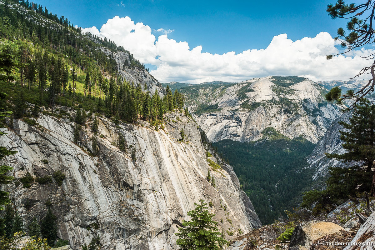 Потрясающие фантазии природы Потрясающие фантазии природы