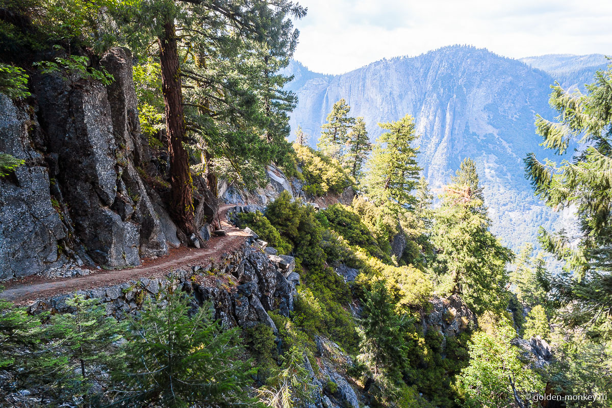 Извилистая тропинка Извилистая тропинка