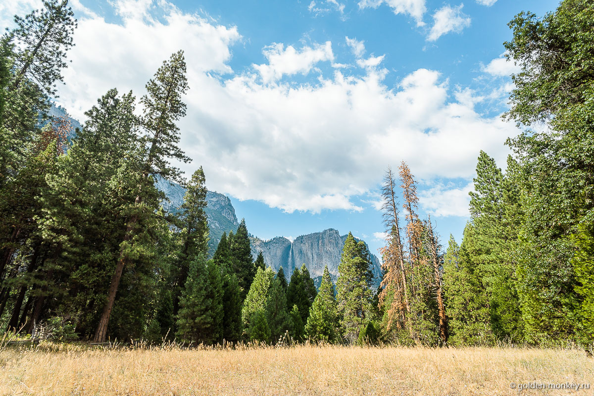 Один из уютнейших лугов долины Один из уютнейших лугов долины