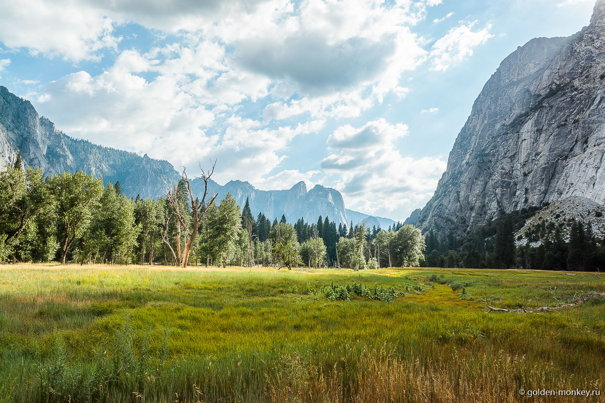 Луг на закате Луг на закате