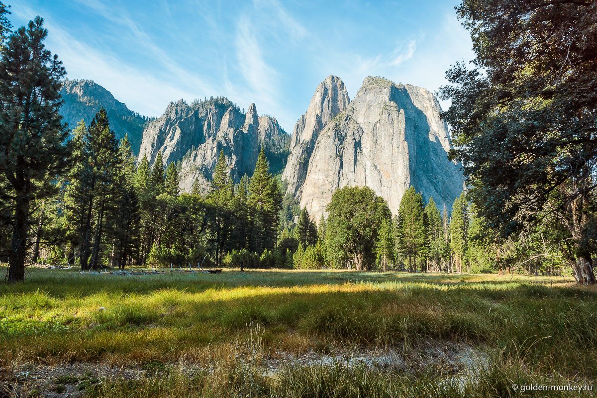 Луг на рассвете Луг на рассвете
