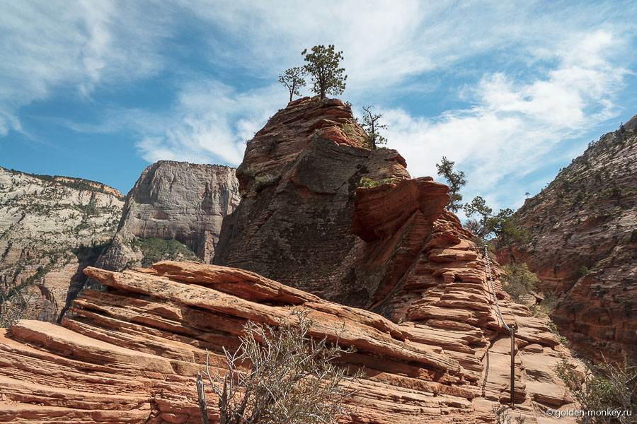 Гребень скалы в Angels Landing Trail, национальный парк Зайон Гребень скалы в Angels Landing Trail, национальный парк Зайон