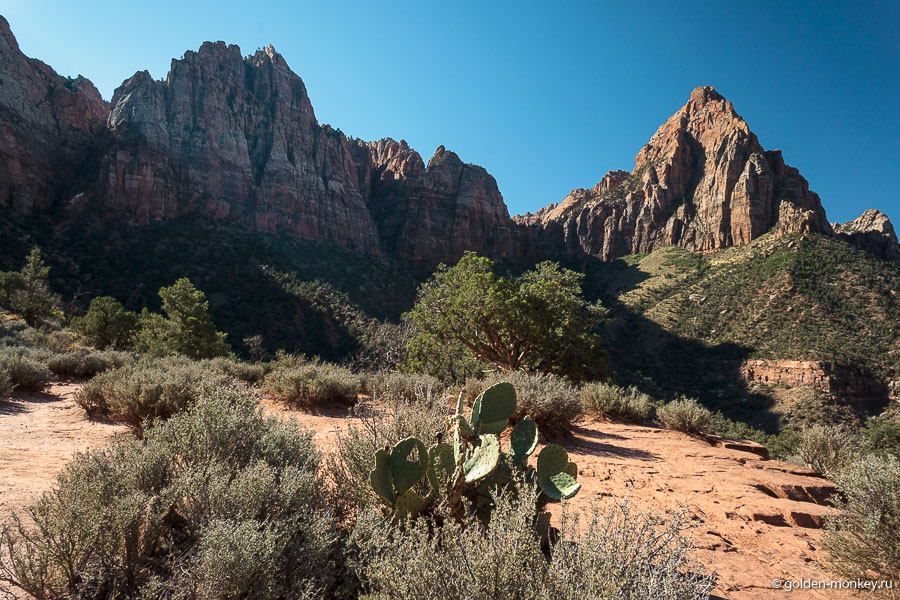 Watchman Trail – далеко не самый живописный, но вполне подойдет для того, чтобы размять ноги с утра пораньше )) Watchman Trail – далеко не самый живописный, но вполне подойдет для того, чтобы размять ноги с утра пораньше ))