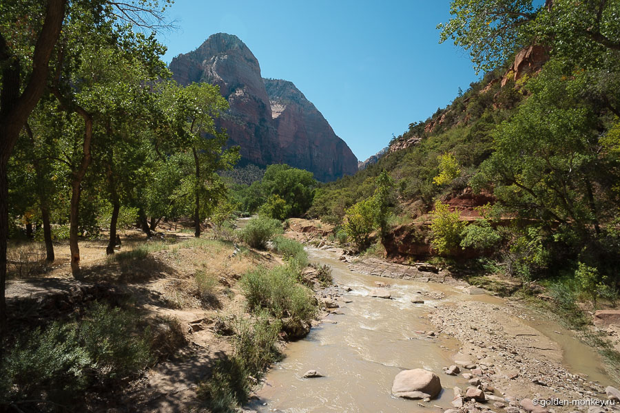 Мутные воды реки Вирджиния, которая, кстати, и «прорезала» этот живописный каньон. Мутные воды реки Вирджиния, которая, кстати, и «прорезала» этот живописный каньон.