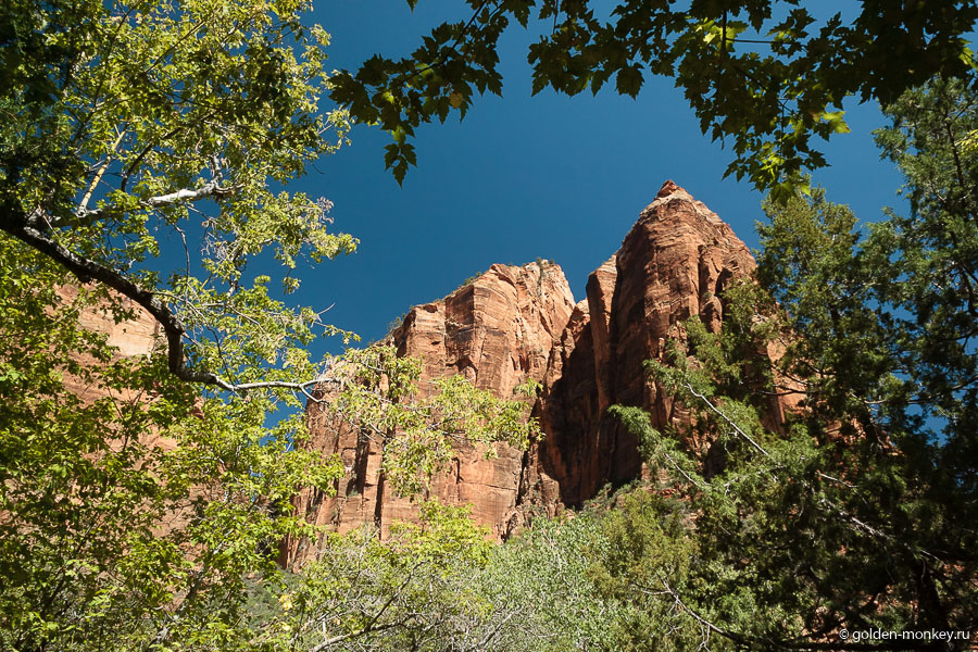 Горы в Зайоне очень красивые – фактурные и насыщенного бронзового цвета, который шикарно сочетается с синим небом. Горы в Зайоне очень красивые – фактурные и насыщенного бронзового цвета, который шикарно сочетается с синим небом.