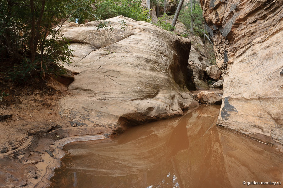 Добрались до Скрытого каньона. Солнце туда почти не проникает, поэтому все кажется несколько хмурым, а местами загадочным, как в таинственном лесу. Кое-где приходится ходить очень аккуратно, чтобы не упасть в воду. Добрались до Скрытого каньона. Солнце туда почти не проникает, поэтому все кажется несколько хмурым, а местами загадочным, как в таинственном лесу. Кое-где приходится ходить очень аккуратно, чтобы не упасть в воду.