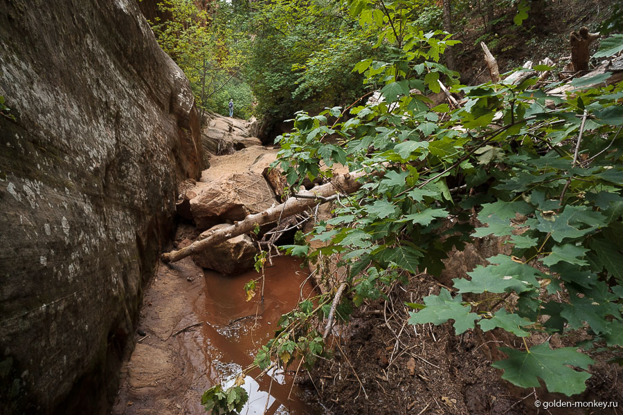 Отправляясь в этот трейл, не надейтесь на легкую приятную прогулку, будьте готовы преодолевать всякого рода преграды на своем пути. Отправляясь в этот трейл, не надейтесь на легкую приятную прогулку, будьте готовы преодолевать всякого рода преграды на своем пути.