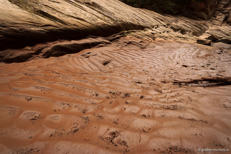 Шоколад. Шоколад.