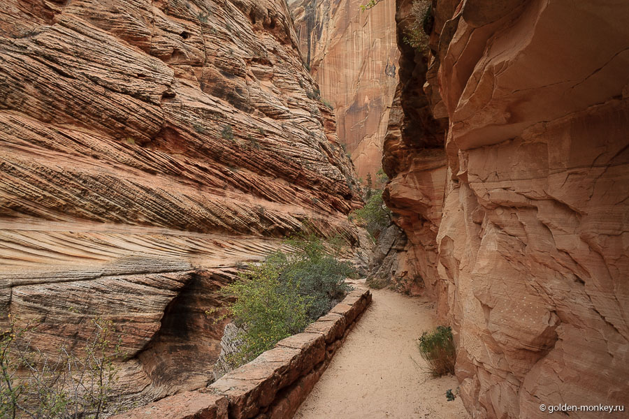 Трейл обустроенный, а большая его часть и вовсе асфальтированная. Местами пришлось взрывать скалы, чтобы обеспечить туристам доступ к самому шикарному панорамному виду в парке. Трейл обустроенный, а большая его часть и вовсе асфальтированная. Местами пришлось взрывать скалы, чтобы обеспечить туристам доступ к самому шикарному панорамному виду в парке.