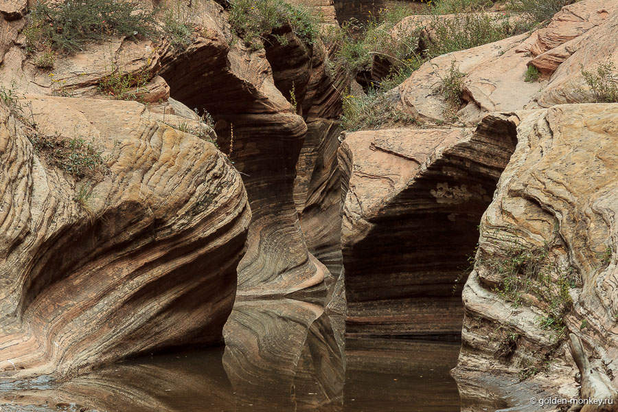 Стоит смотреть по сторонам внимательнее, чтобы не пропустить любопытные мелочи. Стоит смотреть по сторонам внимательнее, чтобы не пропустить любопытные мелочи.