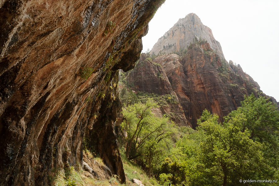 Плачущая скала (Weeping Rock), парк Зайон Плачущая скала (Weeping Rock), парк Зайон