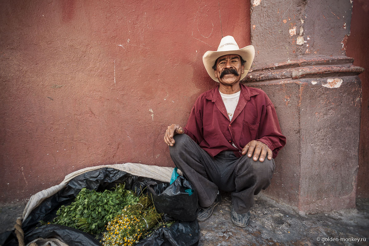 Продавец зелени Продавец зелени