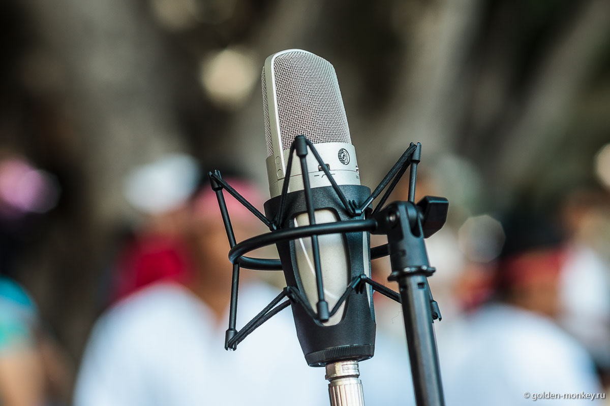 Микрофон Микрофон