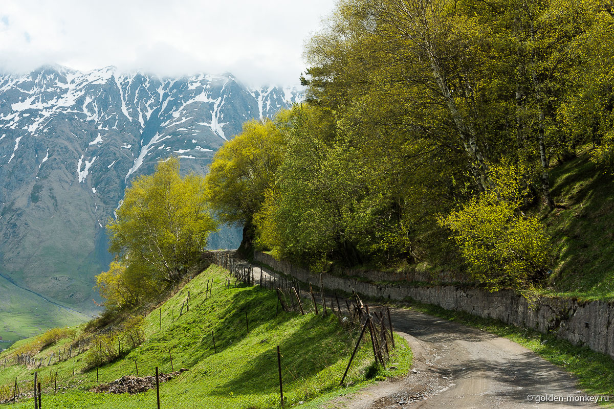 Дорога в Гергети Дорога в Гергети